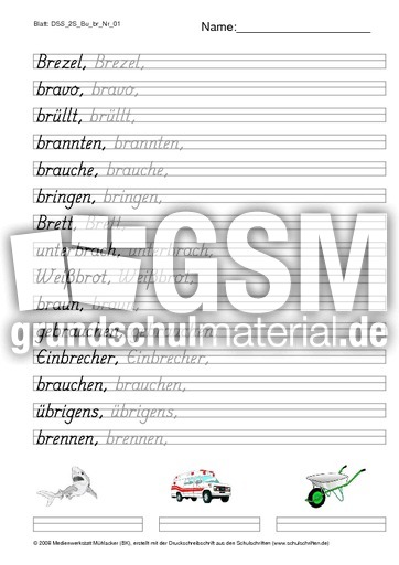 DSS_2S_Bu_br_Nr_01.pdf